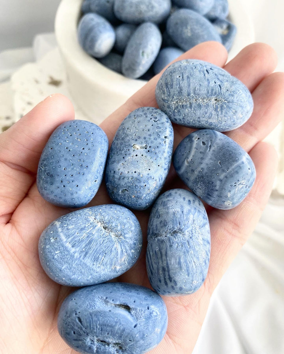 Blue Coral tumbled Stone GURU CRYSTALS