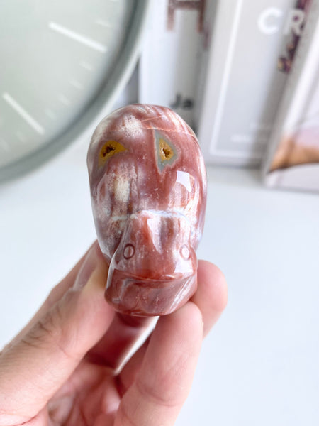 Ocean Jasper Snail #19