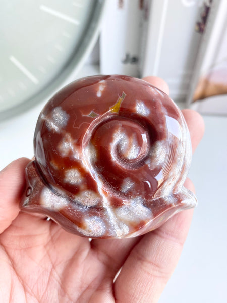 Ocean Jasper Snail #11