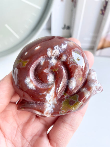 Ocean Jasper Snail #11