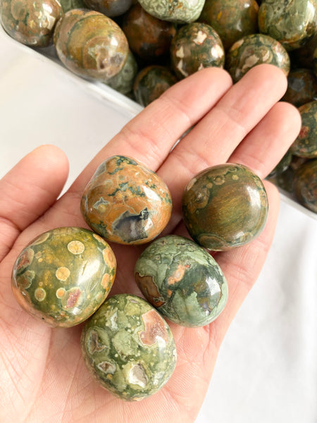 Rainforest Rhyolite Jasper Tumbled