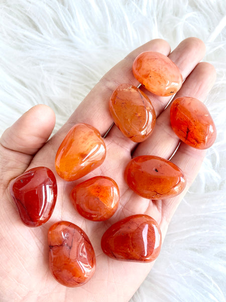 Carnelian Tumbled