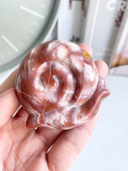 Ocean Jasper Snail #19