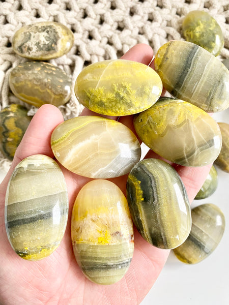 Bumblebee Palm Stone