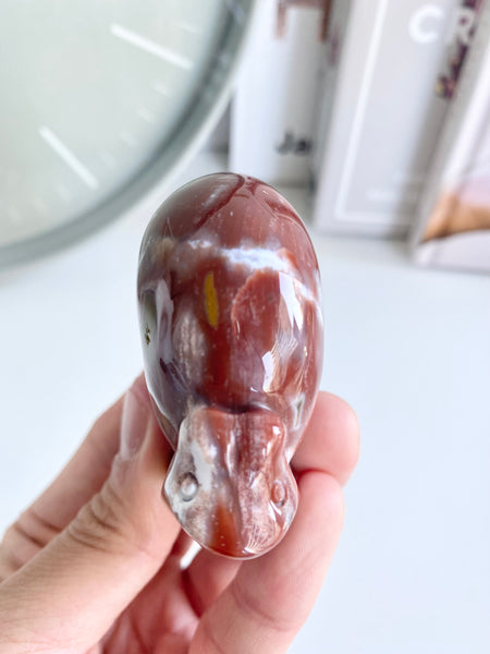 Ocean Jasper Snail #11