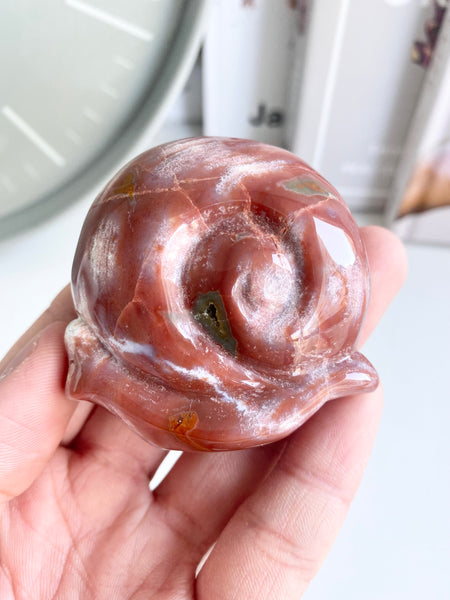 Ocean Jasper Snail #19