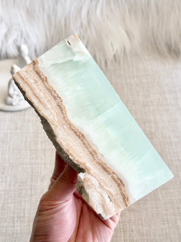 Caribbean Calcite Slab #5