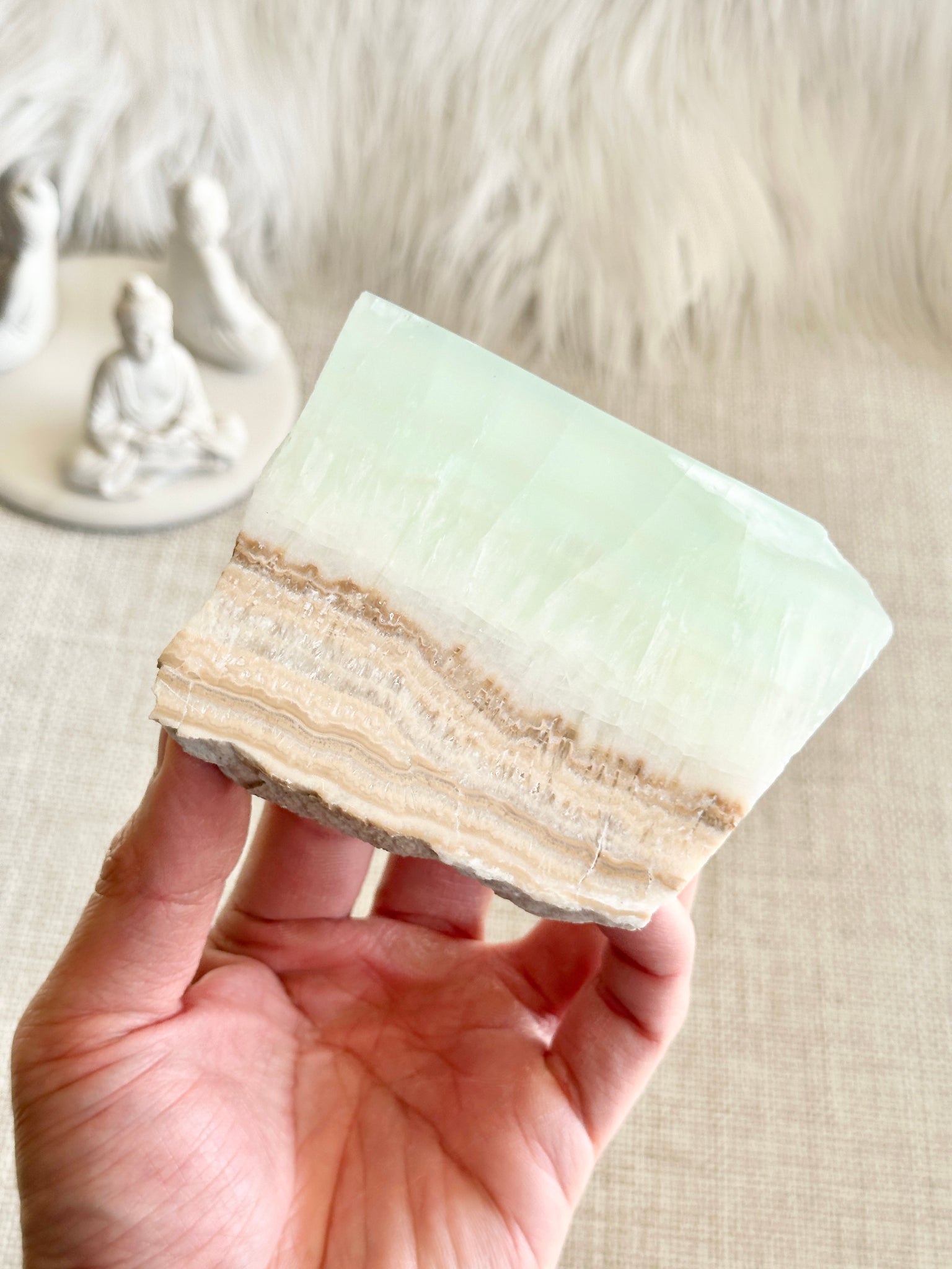 Caribbean Calcite Slab #12