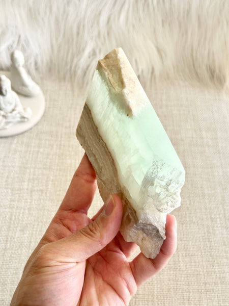 Caribbean Calcite Slab #11