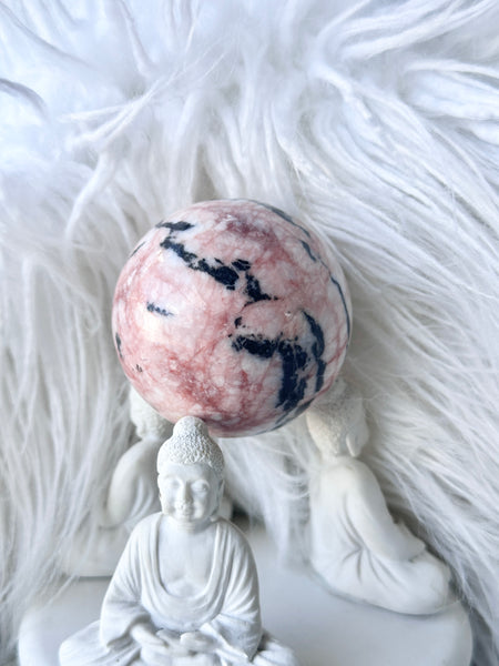 Pink Zebra Sphere #11