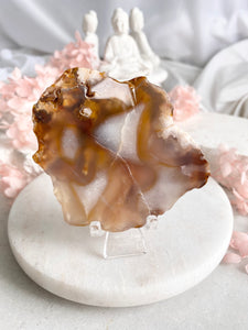Flower Agate Slab #24