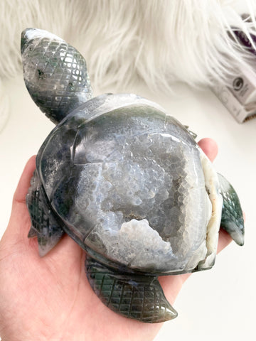 Moss Agate Turtle #13