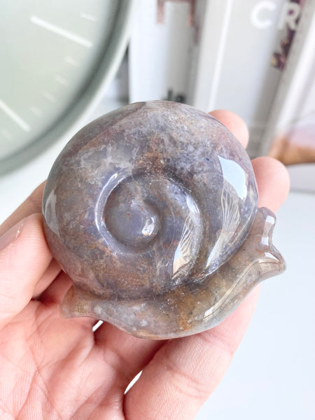 Ocean Jasper Snail #20