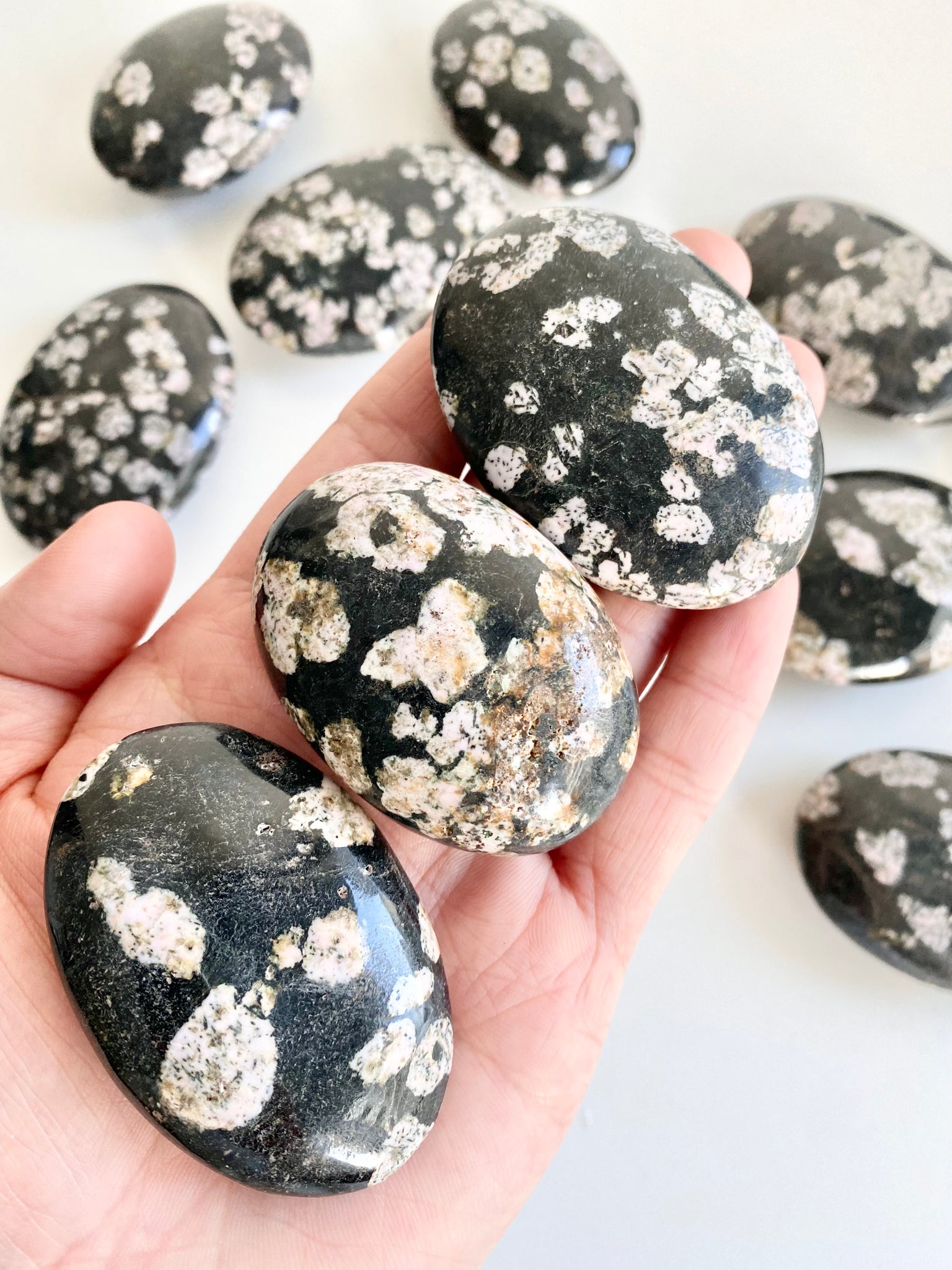 Snowflake Obsidian Palm