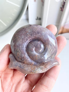 Ocean Jasper Snail #20