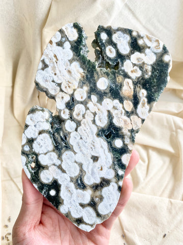 Bubble Ocean Jasper Slab #6