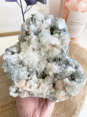 Apophyllite Cluster #8