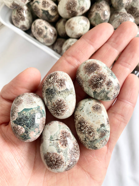 Sakura Jasper Tumbled